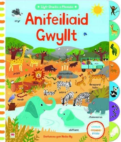 Cyfres Chwilio a Ffeindio: Anifeiliaid Gwyllt
