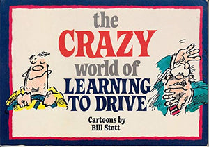 The Crazy World of Learning to Drive 