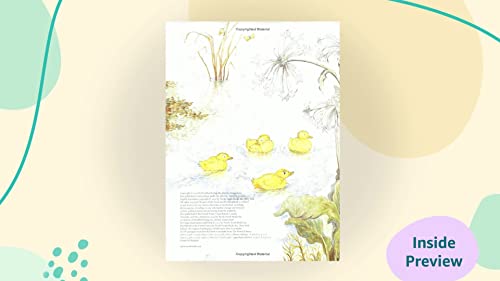 The Ugly Duckling