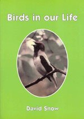 Birds in Our Life