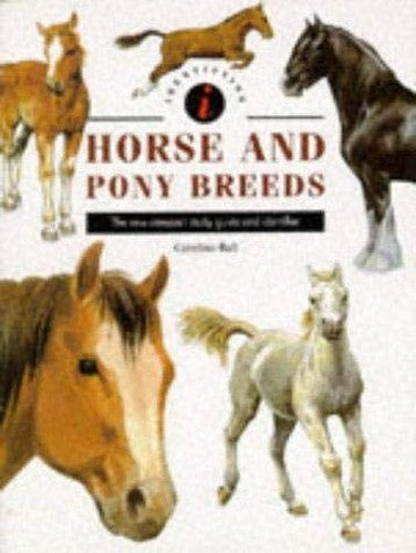 Horse and Pony Breeds