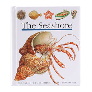 The Seashore
