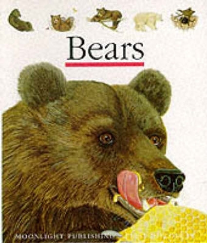 Bears