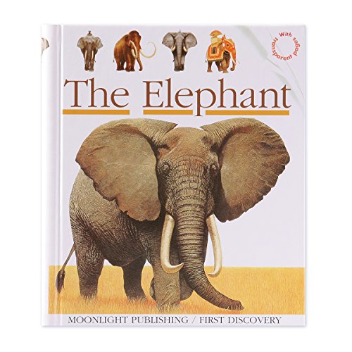 The Elephant