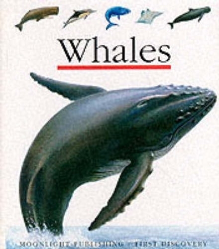 Whales