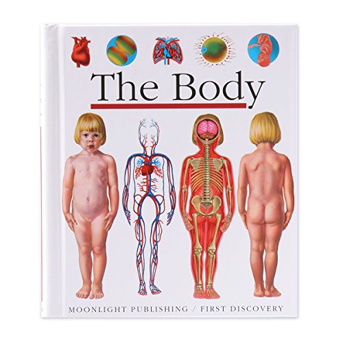 The Body