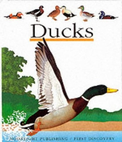 Ducks