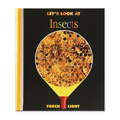 Let's Look at Insects