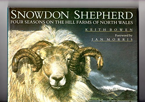 SNOWDON SHEPHERD