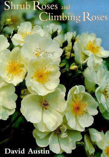 Shrub Roses and Climbing Roses
