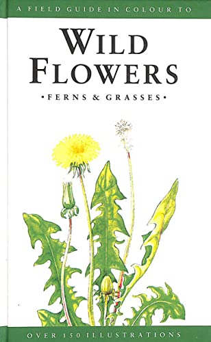 A Field Guide to Wild Flowers, Ferns and Grasses