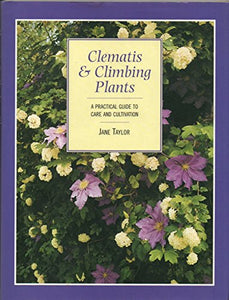 Climbing Plants 