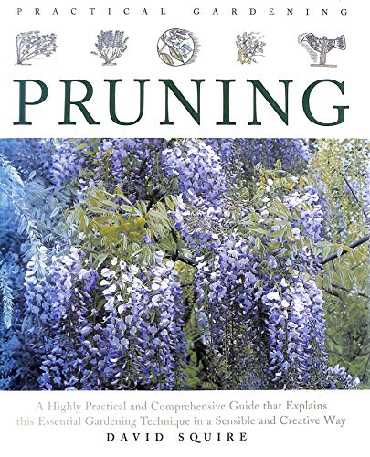 Practical Gardening: Pruning