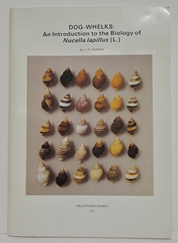 Dog Whelks