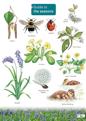 Guide to the Seasons