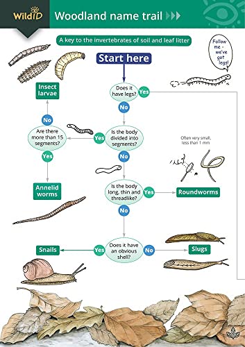 The woodland name trail