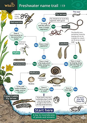 The Freshwater name trail