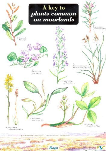 Key to Plants Common on Moorlands