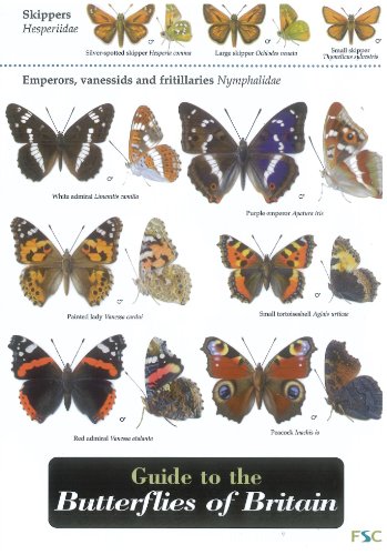 Guide to the Butterflies of Britain