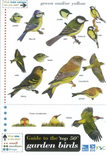 Guide to the Top 50 Garden Birds