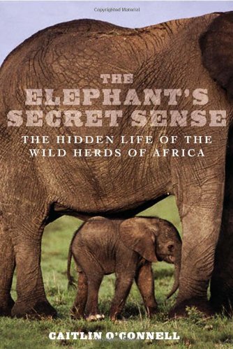 The Elephant's Secret Sense