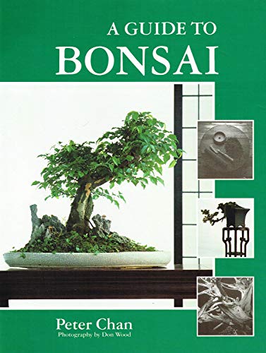 A Guide to Bonsai