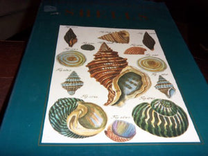 Book of Shells