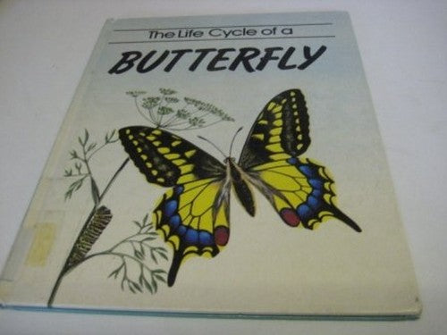 Life Cycle Of A Butterfly