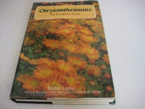 Chrysanthemums