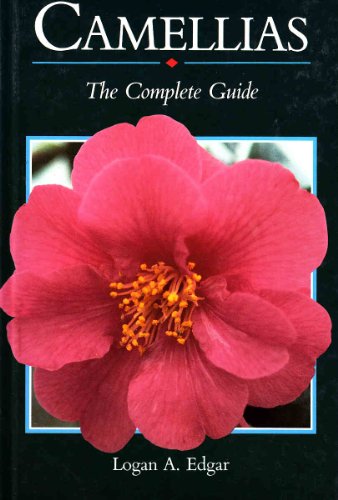 Camellias