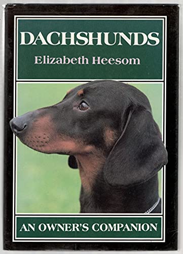 Dachshunds