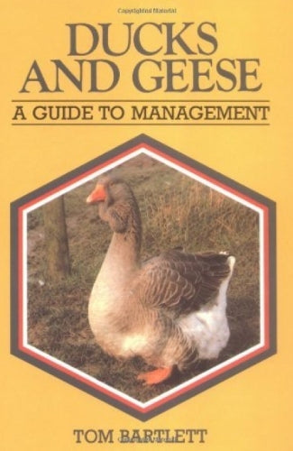 Ducks and Geese
