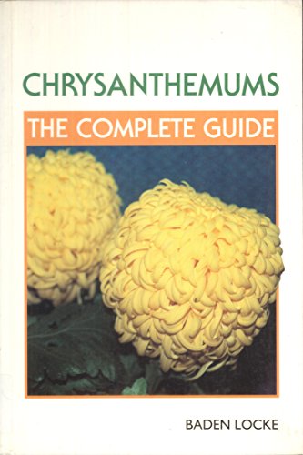 Chrysanthemums