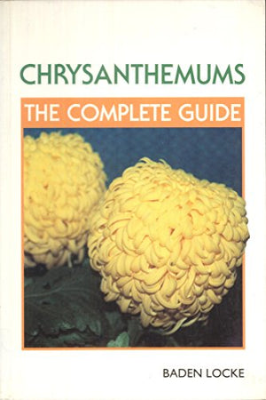 Chrysanthemums