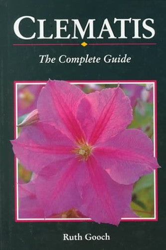 Clematis