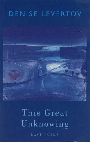 This Great Unknowing
