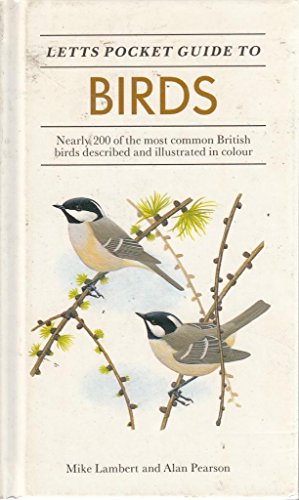 Letts Pocket Guide to Birds