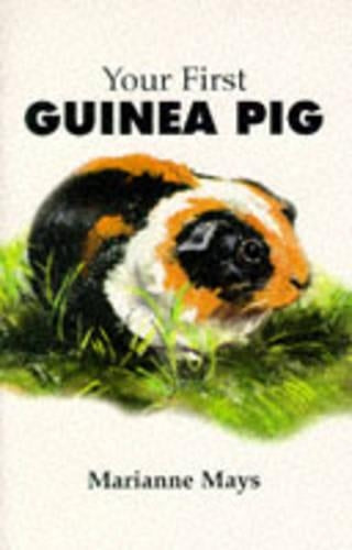 Your First Guinea Pig