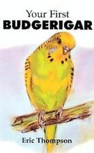 Your First Budgerigar 