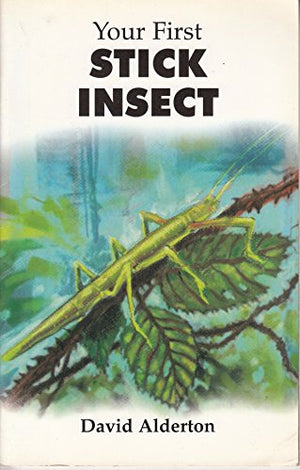 Your First Stick Insect