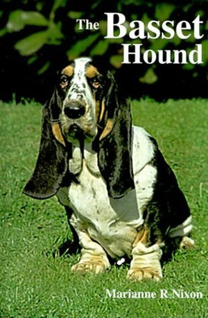 The Basset Hound