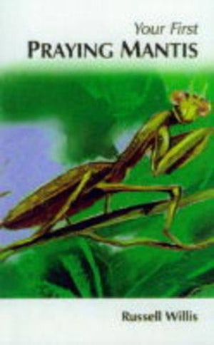 How to Care for Your Praying Mantis