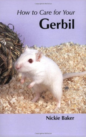 How to Care for Your Gerbil