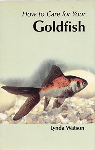 How to Care for Your Goldfish