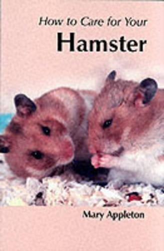 How to Care for Your Hamster