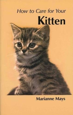 How to Care for Your Kitten