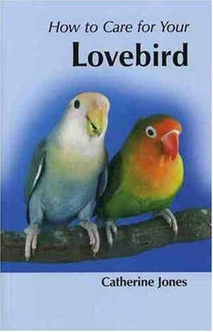 How to Care for Your Lovebird