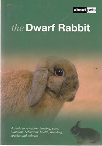 The Dwarf Rabbit