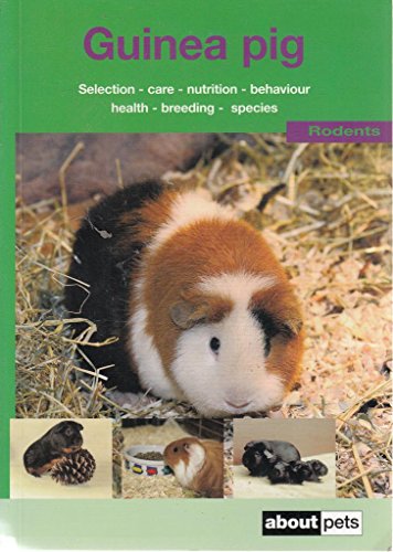 The Guinea Pig