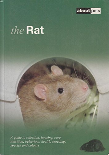 The Rat